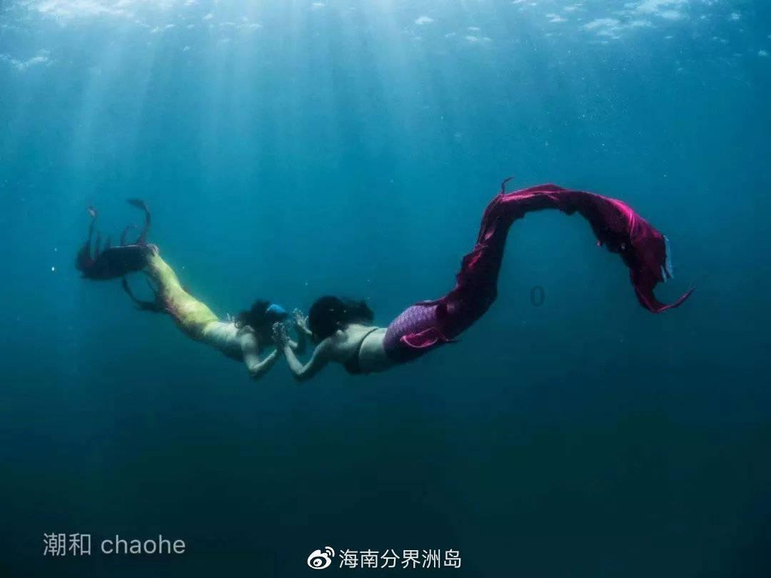 救援小洋葱