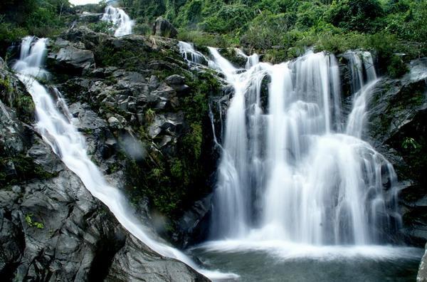 缤纷水果茶
